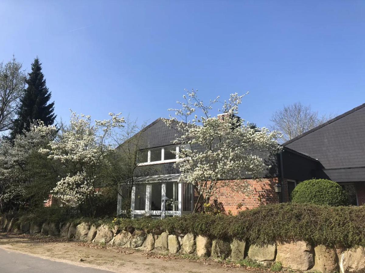 Landhaus Bleckede - App 2 Lueneburg ภายนอก รูปภาพ